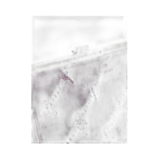 Mini Logo-Printed Crossbody Bag
