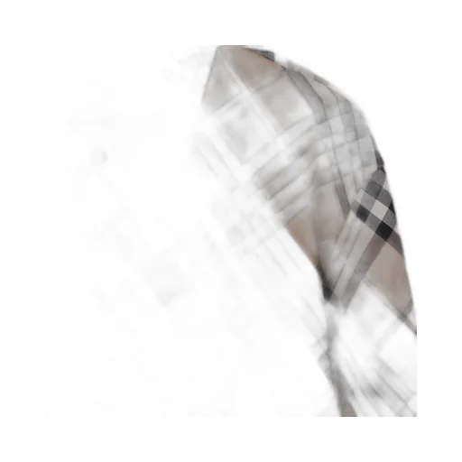 Burberry Long Sleeved Buttned Checked Shirt