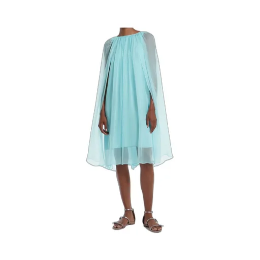 Max Mara Pianoforte Tulle Crewneck Sleeveless Dress