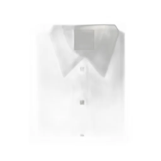 Givenchy	Sheer Collared Button-Up Shirt
