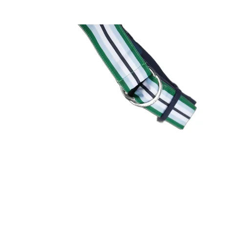 Ralph Lauren Kids Stripe-Printed Belted Logo Patch Shorts