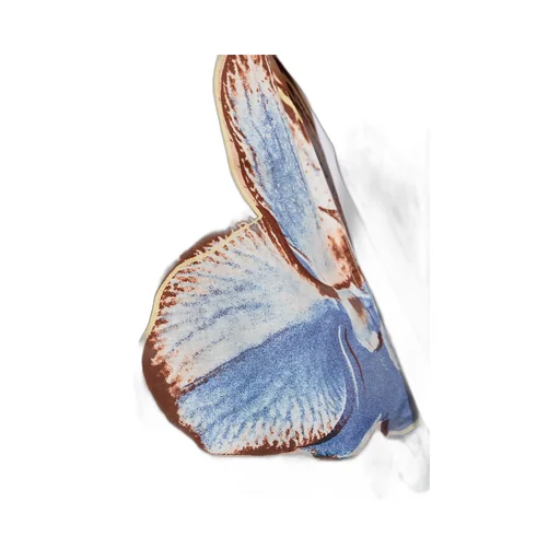 Paul Smith Floral Shirt