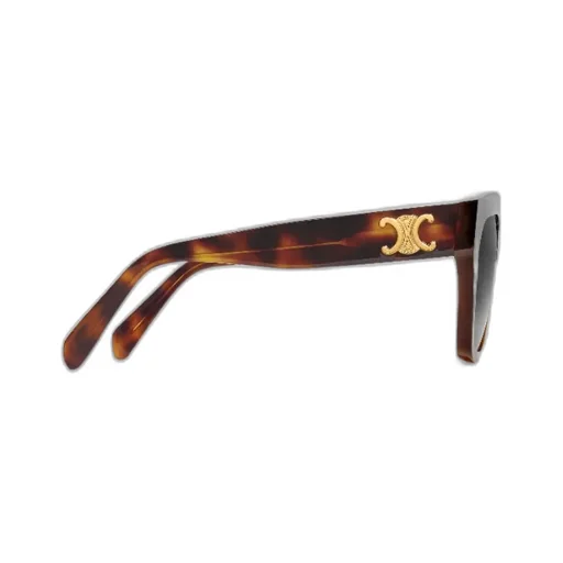 Triomphe 09 Sunglasses In Acetate