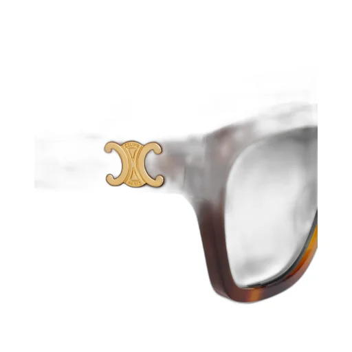Triomphe 09 Sunglasses In Acetate