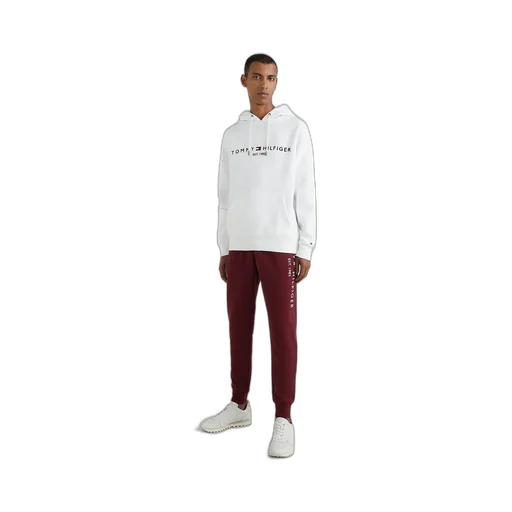 Embroidered Logo Drawstring Hoodie