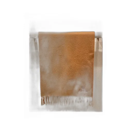Loro Piana Grande Unita Fringed-Edge Scarf