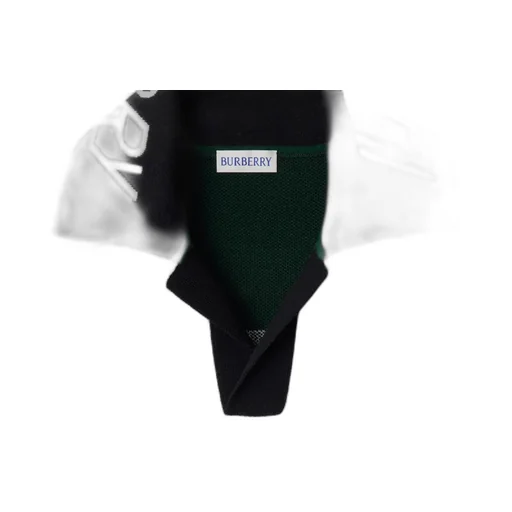 Wool T-Shirt