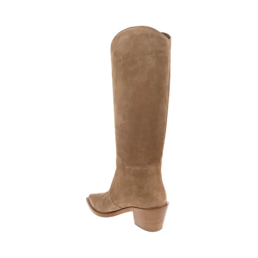 Gianvito Rossi Waylon Pointed Toe Boots