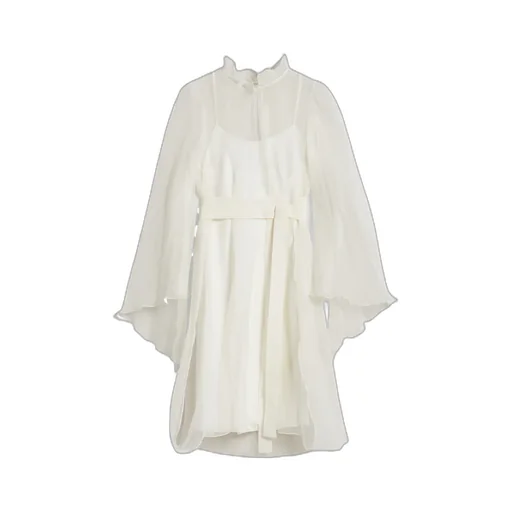 Long Sleeve Dress