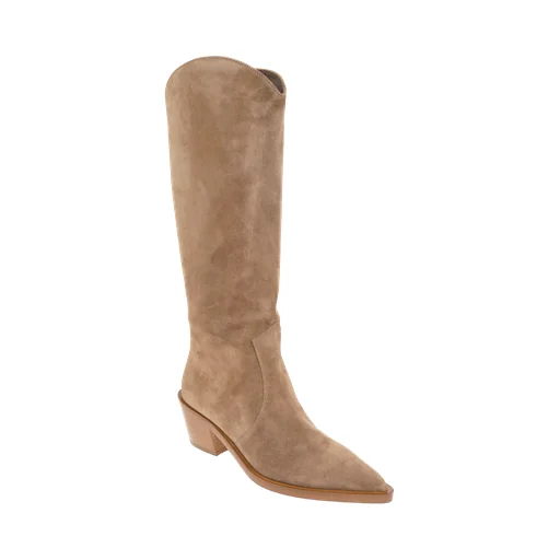 Gianvito Rossi Waylon Pointed Toe Boots