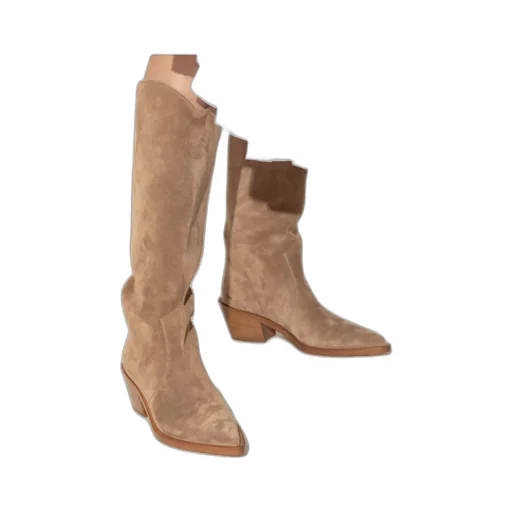 Gianvito Rossi Waylon Pointed Toe Boots