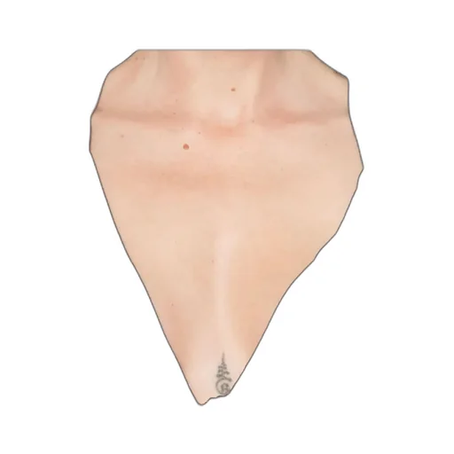 Sleeveless Vest