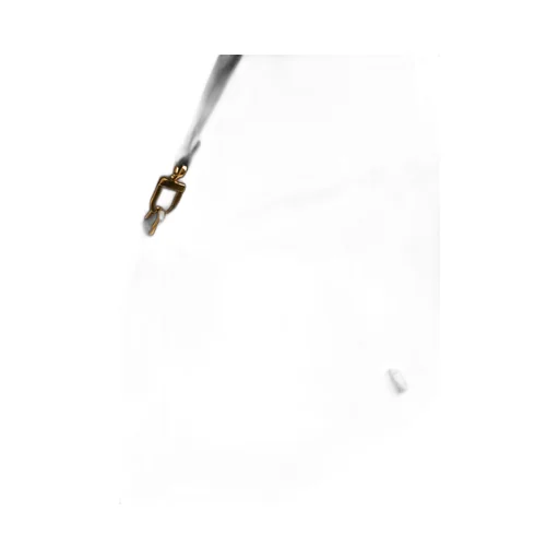 TotÊMe T-Lock Foldover Top Shoulder Bag