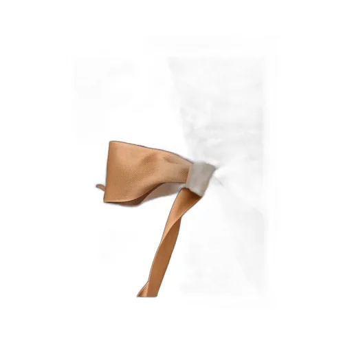 Ugg Bailey Tie Ankle Boots