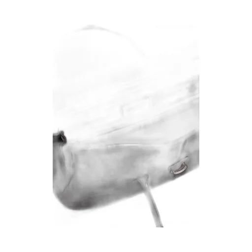 Lemaire Shoulder Gear Bag