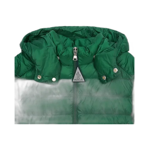 Long Sleeve Down Jacket