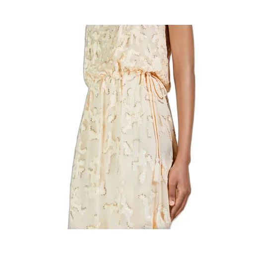 Sequin Embroidered Dress