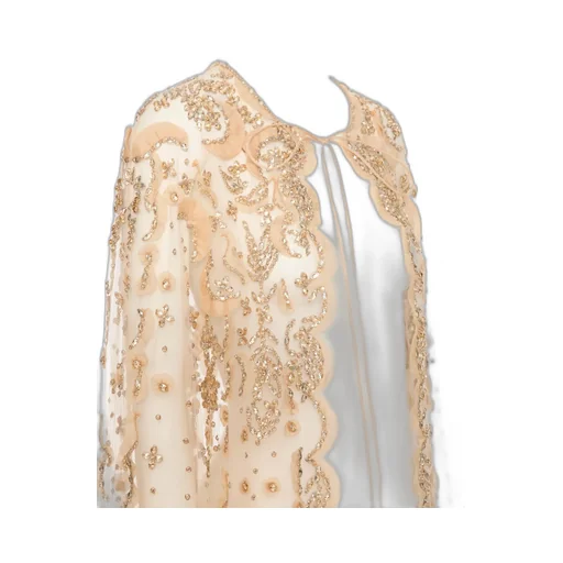 Translucent Cloak