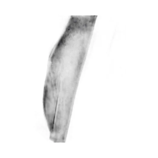 Mm6 Maison Margiela Three Quarter Sleeved Belted Dress