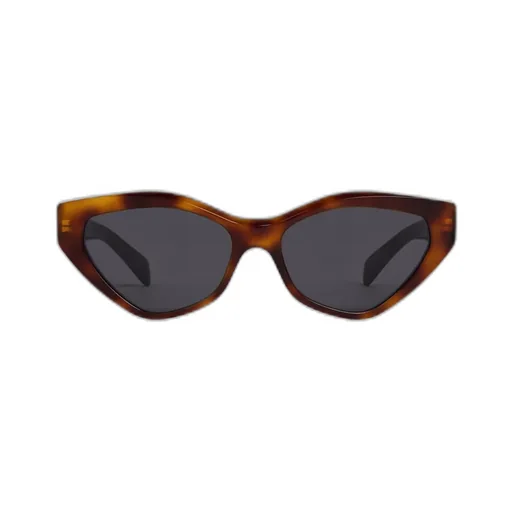 Triomphe 17 Sunglasses In Acetate