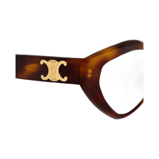 Triomphe 17 Sunglasses In Acetate