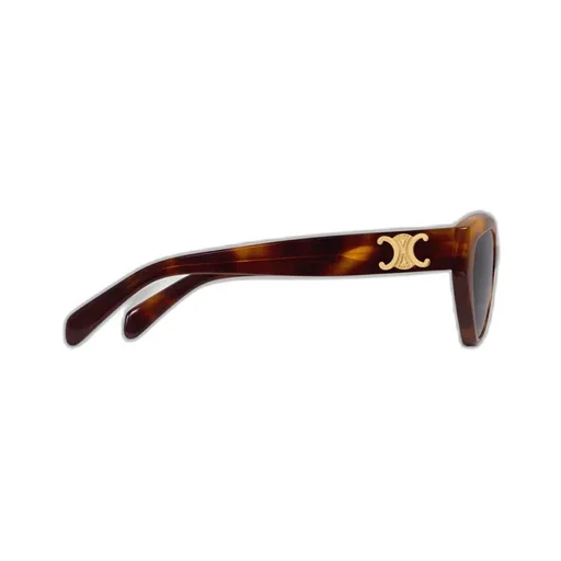 Triomphe 17 Sunglasses In Acetate