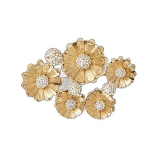 Brooch
