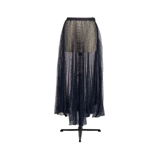 Long Transparent Skirt