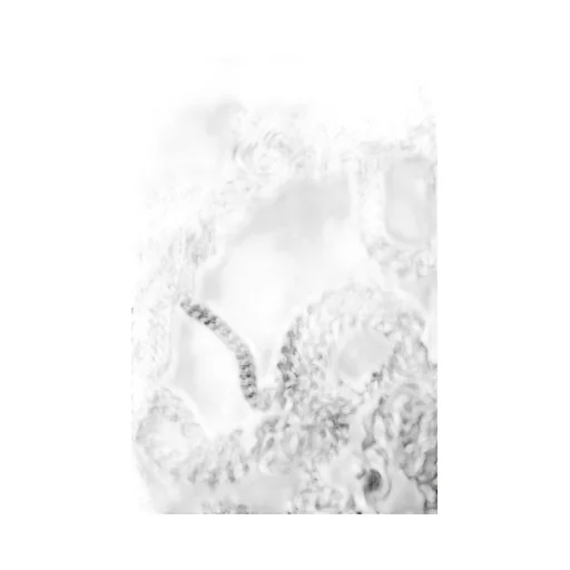 Rea Multi-Chain Necklace
