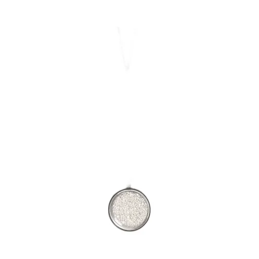 Elsu Medallion Necklace