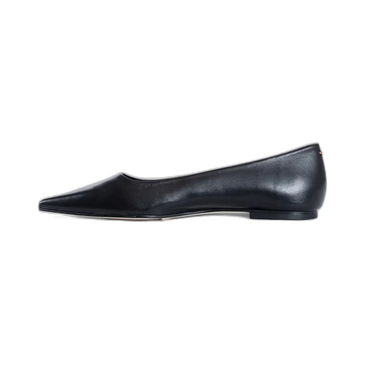 Pointed Toe Flats