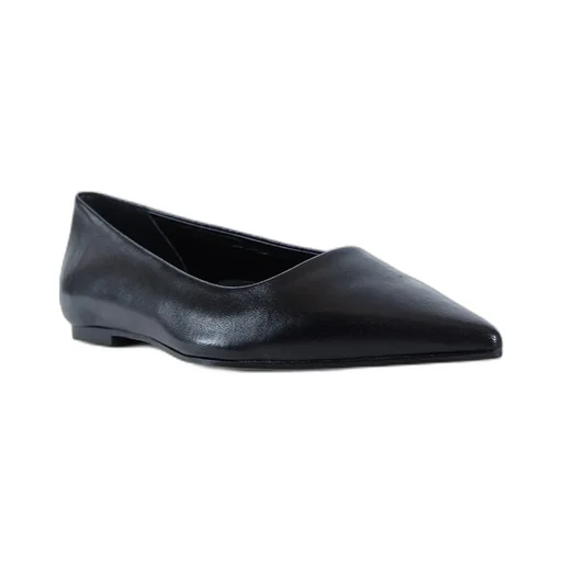 Pointed Toe Flats