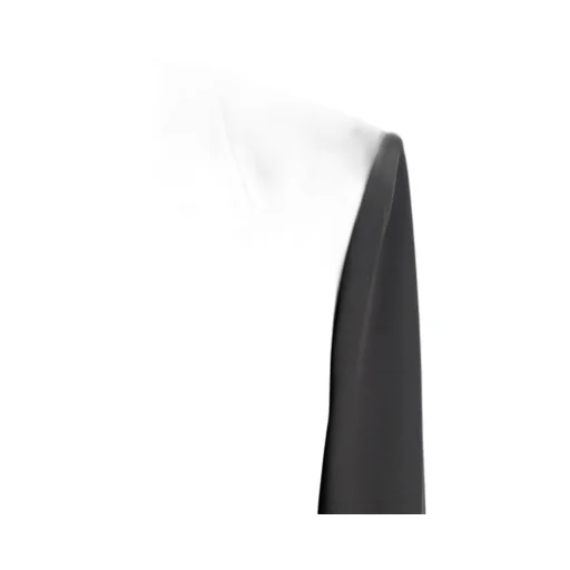 Saint Laurent Single-Breasted Long-Sleeved Blazer