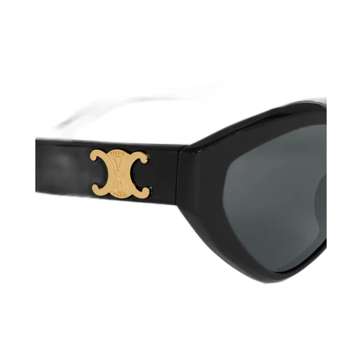 Triomphe 17 Sunglasses In Acetate
