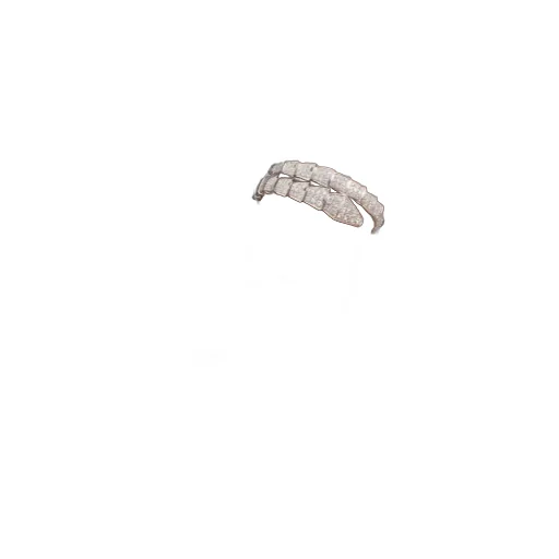 Logo Bracelet
