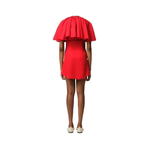 Ami Ruffled Mini Dress