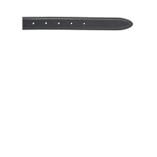 Logo Belt