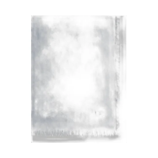 Weekend Max Mara Kirsch Frayed Edge Scarf