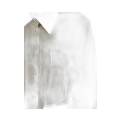 Weekend Max Mara Balocco Button Detailed Belted Dress