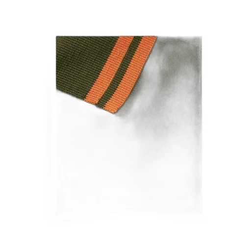 Striped-Collar Polo Shirt
