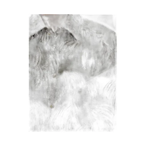 Long-Sleeved Shirt