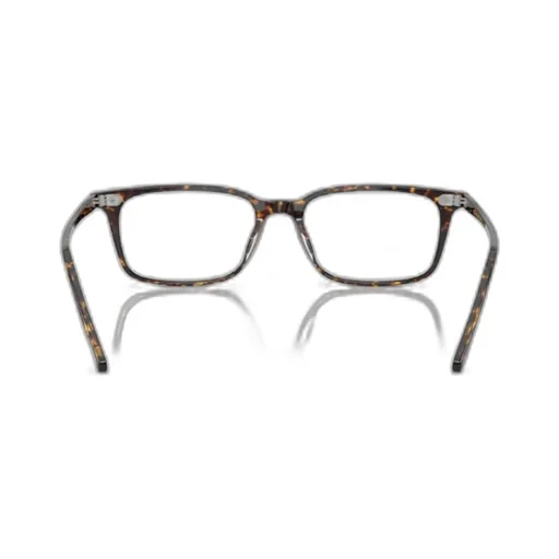 Neylan Atago Tortoise