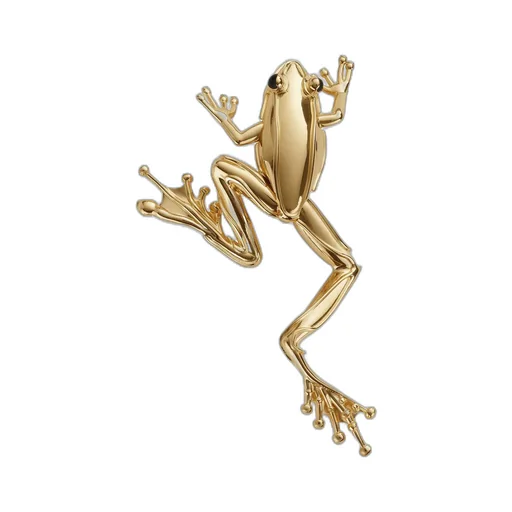 Rana Large Brooch