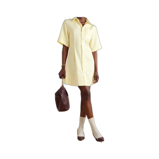 Ami Short Sleeved Shirt Dress