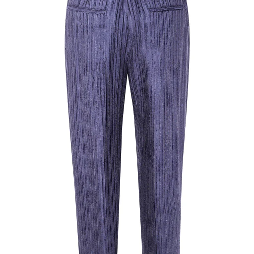 Pleated Trousers