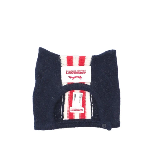 Ear-Patterned Beanie