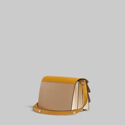 Tricolor Leather Medium Trunk Bag
