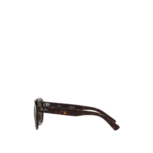 Ray-Ban Erik Square Frame Sunglasses