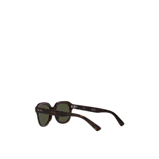 Ray-Ban Erik Square Frame Sunglasses