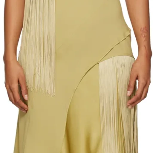 Medium Length Fringed Dress